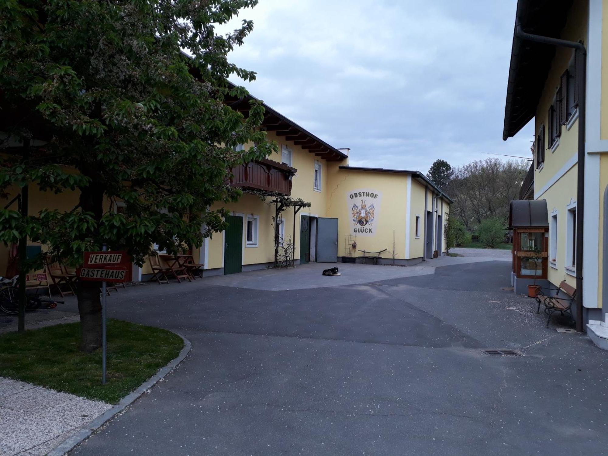 Obsthof Glueck Acomodação com café da manhã Gamlitz Exterior foto